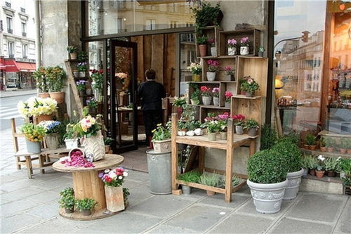  开一家花店需要多少钱？--第1张