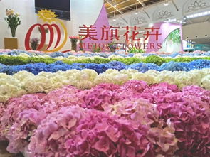  北京线上鲜花采购平台，一站式购花体验，让生活更美好--第1张