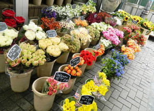  上海花店加盟店排行榜，上海花店加盟店排行榜，热门品牌推荐--第1张