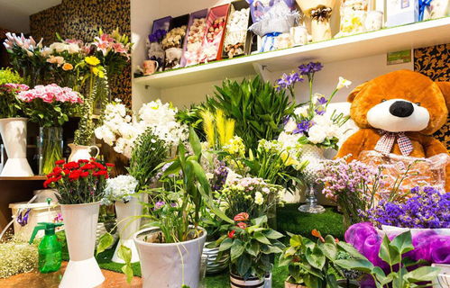  爱花居鲜花店，靠谱的鲜花选购首选--第1张