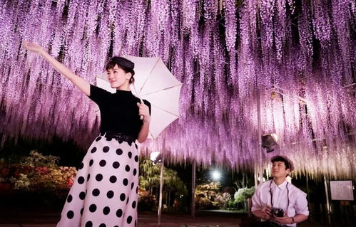  短剧闪婚后老公天天给钱花全集观看，甜蜜爱情故事引人入胜！--第1张