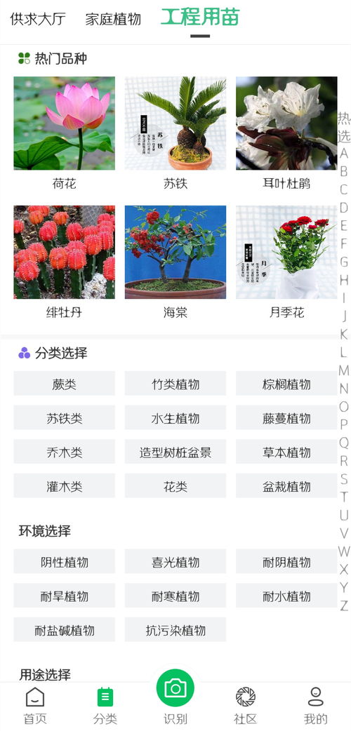  免费苗木买卖网站推荐--第1张