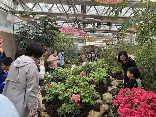  农科院花卉市场，花卉交易的独特天地，农科院花卉市场，花卉交易的独特天地之一--第1张