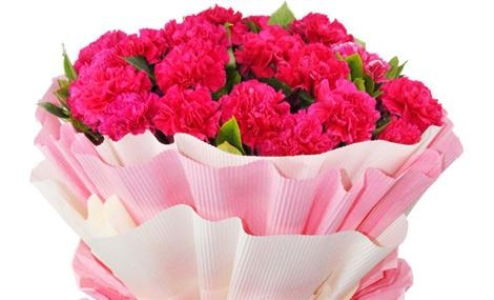  生日康乃馨鲜花图片，传递爱与祝福的美丽之花--第1张