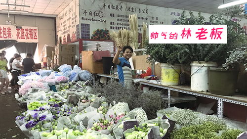 北京花卉批发市场哪里便宜，北京便宜花卉批发市场介绍--第1张