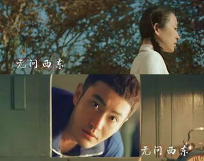  短剧他以痛吻我全集观看--第1张