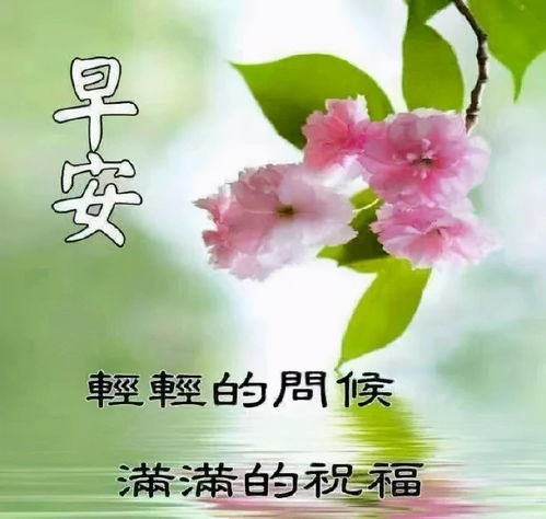  短剧绝爱倾城又名沈先生的念念不忘全集观看，绝爱倾城，沈先生的念念不忘全集观看--第1张