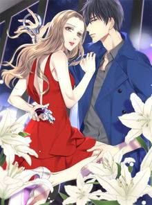  离婚后高冷前妻夜夜数全集观看——短剧冷妻的背后故事，离婚后高冷前妻夜夜数全集观看，冷妻的背后故事--第1张