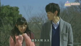  短剧爱入山海全集观看--第1张