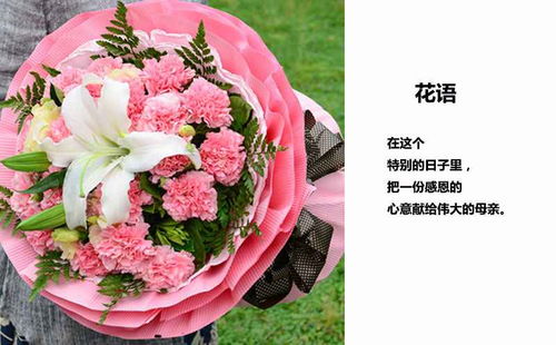  康乃馨母亲节，献给世界上最伟大的爱--第1张