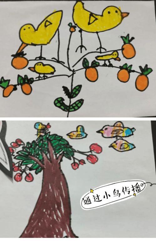  种子的传播方式——图片简笔画版--第1张