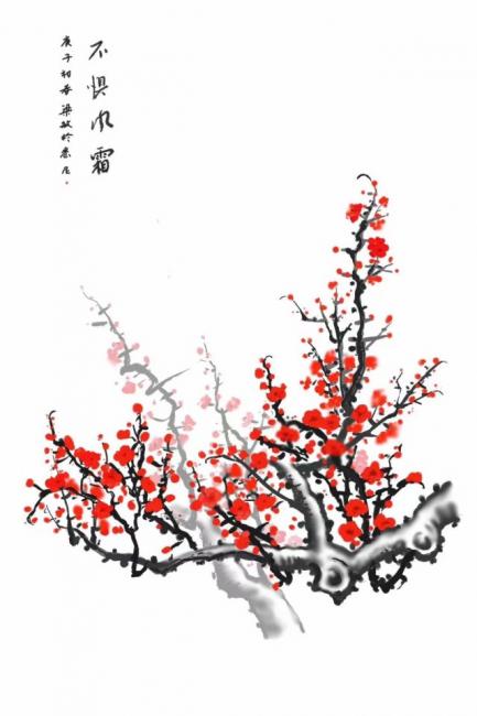 雪中梅花的诗句--第1张