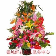  石家庄鲜花批发联系方式，石家庄鲜花批发联系方式，了解鲜花批发商的正确途径--第1张