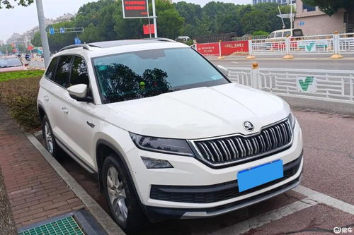 为什么大家不买斯柯达_斯柯达口碑最好的三款--第1张