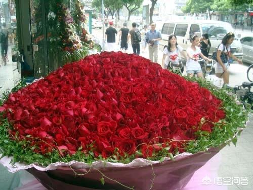  收到的玫瑰花束怎么养，玫瑰花束的养护技巧--第1张