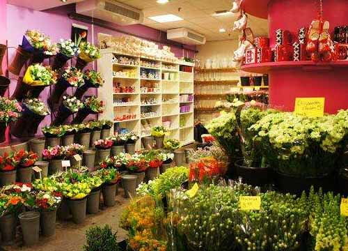 花里花店加盟费多少  花里花店加盟费多少钱，花里花店加盟费多少，加盟花里花店的费用是多少--第1张