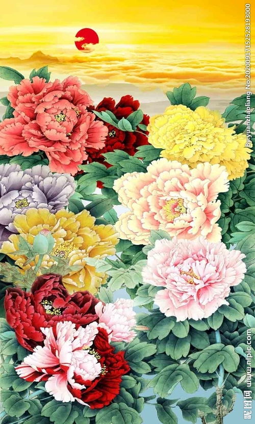 牡丹花图片大全大图高清  牡丹花图片大全大图高清，牡丹花高清图片欣赏，牡丹花之美，尽在其中--第1张