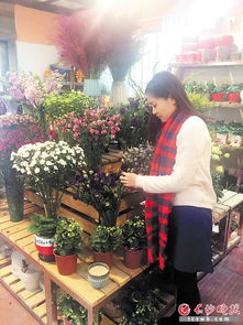 满天星花店多少钱一把  满天星花店，一把花的美丽与价格--第1张