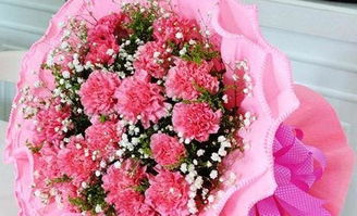 康乃馨送给谁最合适  康乃馨送给谁最合适，康乃馨送给母亲最合适，康乃馨是母爱的象征，送给母亲可以表达对她的感激和爱意，也可以表达对她的关心和祝福。--第1张
