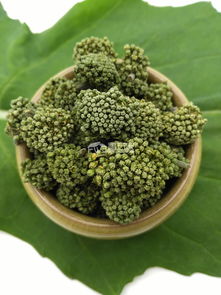 三七花的功效与作用及食用方法  三七花的功效与作用及食用方法--第1张