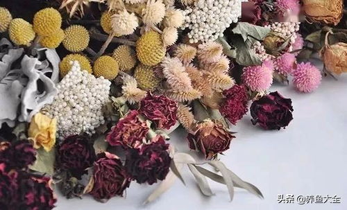 鲜花如何制作成干花  如何制作鲜花成干花--第1张