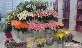 上海花店电话  上海花店电话，传递爱意，让花朵传递情感--第1张