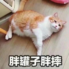 短剧退圈后被双大佬宠翻了全集观看  短剧退圈后被双大佬宠翻了全集观看，退圈后被双大佬宠翻了，短剧全集观看--第1张
