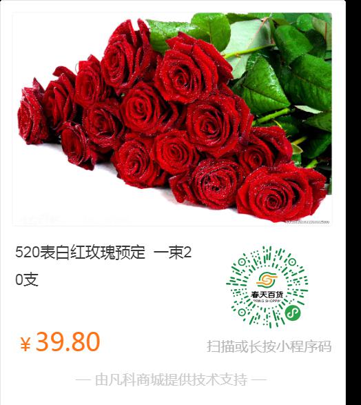玫瑰花什么寓意  玫瑰花的寓意——永恒的爱、热情、美丽与尊敬--第1张