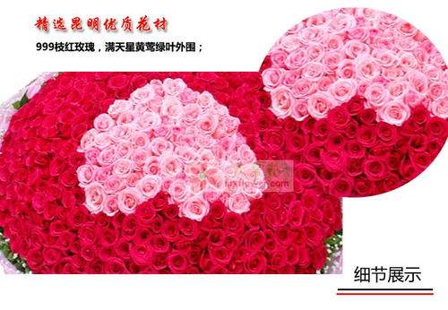 999朵玫瑰歌词  ，999朵玫瑰歌词--第1张