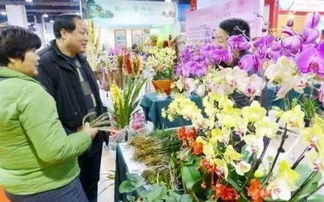 买花哪个网站比较好  买花哪个网站比较好--第1张