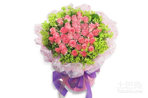 33朵玫瑰花语代表什么意思  33朵玫瑰花语——爱的深度与承诺--第1张