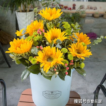 生日花朵及寓意  生日花朵及寓意，生日花朵及寓意的鲜花知识--第1张