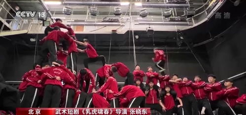 短剧黄金宝术全集观看  短剧黄金宝术全集观看--第1张
