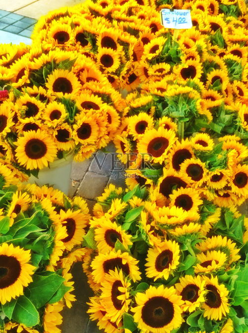 情人节送什么颜色的花比较好  情人节送什么颜色的花比较好--第1张