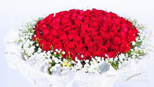 5朵玫瑰花代表什么  五朵玫瑰花代表的含义