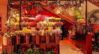 重庆沙坪坝花店订花  重庆沙坪坝花店订花，浪漫与艺术的完美结合--第1张