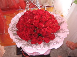 九十九朵花代表什么啊  ，九十九朵花代表什么--第1张