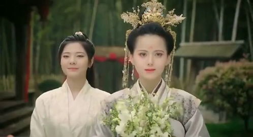 短剧穿越王妃想和离全集观看  短剧穿越王妃想和离全集观看，穿越王妃想和离全集免费观看--第1张