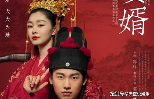 赘婿神医江辰大结局怎么样_赘婿江辰小说--第1张
