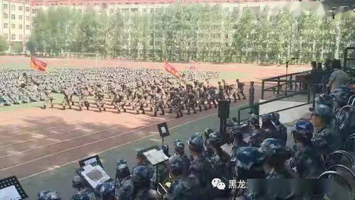 短剧至尊弃少全集观看  短剧至尊弃少全集观看，揭秘弃少的逆袭人生--第1张