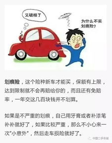 车险三个险就够了_车险买那3个就好了--第1张