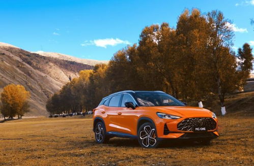mg6汽车报价及图片大全_mg6suv2020款报价及图片--第1张