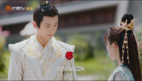 短剧王妃携子归来王爷宠翻了长篇全集观看  短剧王妃携子归来王爷宠翻了长篇全集观看，短剧王妃携子归来王爷宠翻了长篇全集，王爷宠妻如宝--第1张
