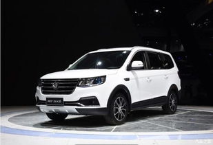 2023款东风风行sx6_2023款东风风行sx6的正常缸压是多少?--第1张
