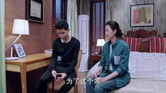短剧罪妻出狱后沈总下跪求复合全集观看  短剧罪妻出狱后沈总下跪求复合全集观看，罪妻出狱后沈总跪求复合--第1张