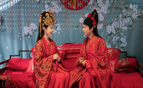 赘婿大结局第二次结婚_赘婿第二次大婚是第几集--第1张