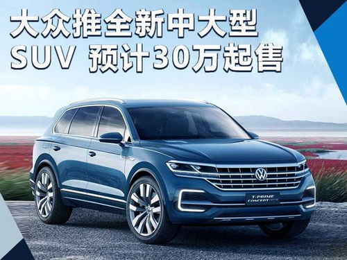 大众新款车30万左右_大众30万的suv--第1张