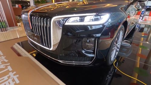 红旗越野车10万一15万车图片_红旗越野车2021新款20万--第1张