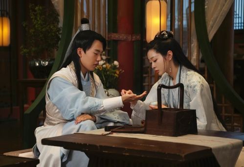 赘婿刘晨大结局是什么_赘婿刘凡--第1张