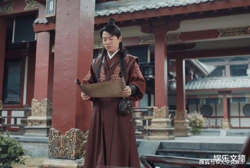 赘婿大结局二十一集免费观看_赘婿大结局在线播放--第1张